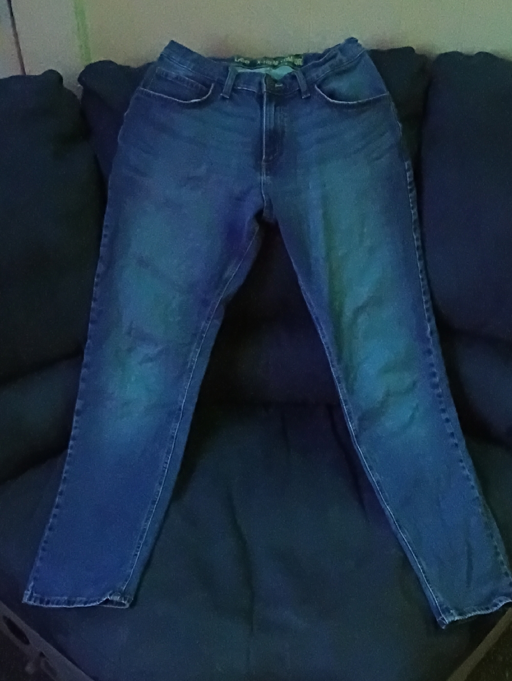 Lee Women's Skinny Jeans in Blue Wash